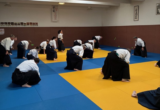 Aïkido - Stage Philippe & Dominique [2025-05-18]